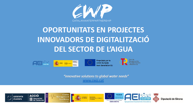 INFORMATION SESSION ON DIGITISATION PROJECTS IN THE WATER SECTOR: AEIS CALL FOR PROPOSALS