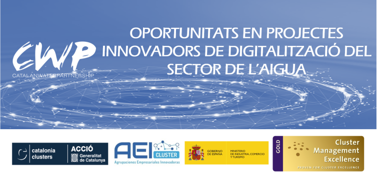 SUCCESS STORIES AND PROPOSALS FOR THE WORKSHOP TO PROMOTE DIGITISATION PROJECTS IN THE WATER SECTOR: AEIS CALL FOR PROPOSALS