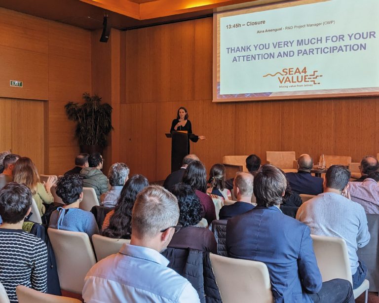 More than 60 experts and stakeholders gathered at the Workshop of the Sea4Value project: Critical Raw Materials from unconventionals: Ensuring supply through Circular Economy