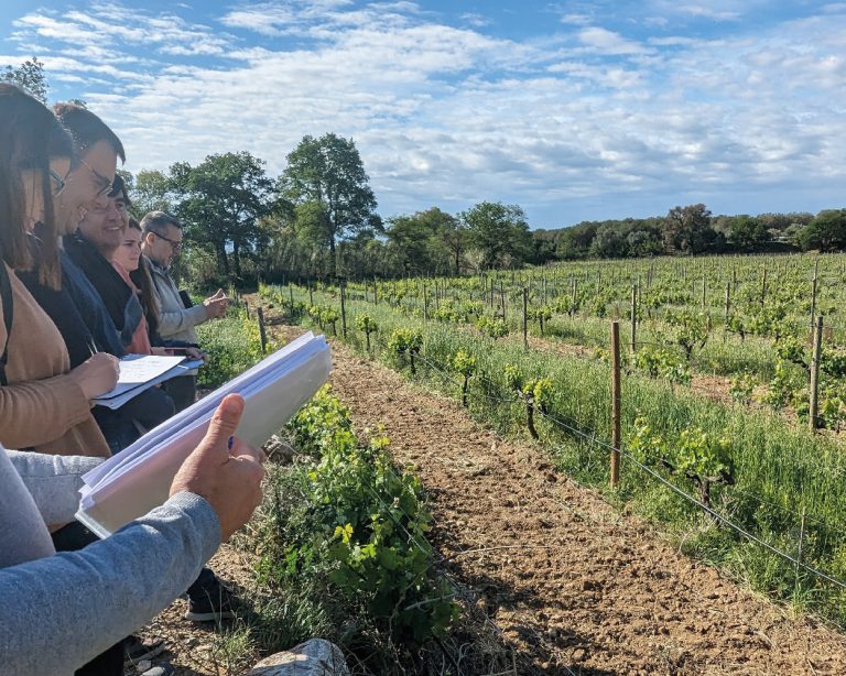 El projecte ViWaTec apropa al sector vitivinícola solucions per millorar l’ús de l’aigua en el sector vitivinícola