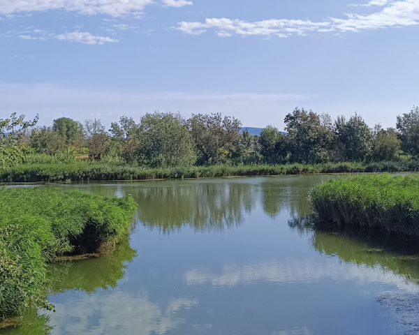 El projecte SEACURE entén, millora i innova en la gestió de nutrients, per la salut de la conca Mediterrània i els seus habitants