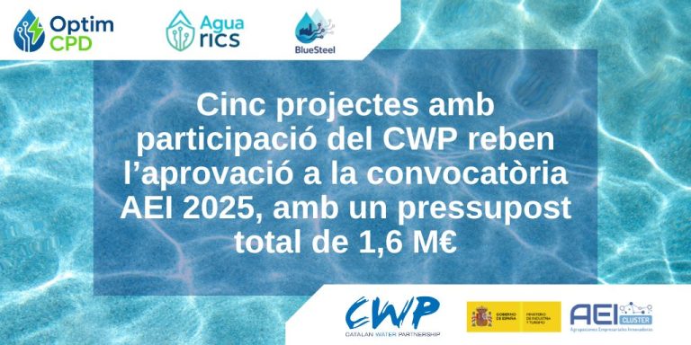 Cinco proyectos con participación del CWP reciben la aprobación en la convocatoria AEI 2025, con un presupuesto total de 1,6 M€