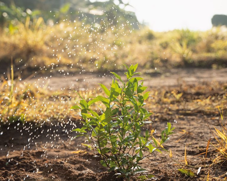 AquaLoops4Med Open Call