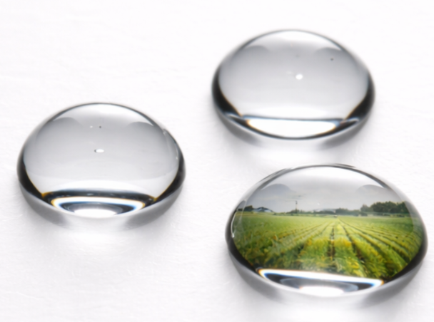 Aigua i agroalimentació: innovació, coneixement i reptes de futur